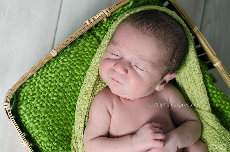 photos bébé dans un panier