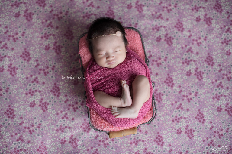 photos de bébé dans un panier